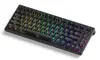 Akko TAC75 HE Gaming Keyboard 75% Magnetic Switch Photo 5