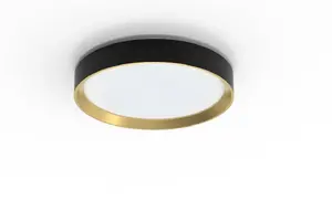 Потолочный светильник Philips 24 Вт, светодиодный, круглый, 4000 К, холодный белый, черный