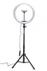 Rio RL12 LED Ring Light 30cm Photo 3