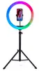 Rio RL12 LED Ring Light 30cm Photo 4