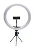 Rio RL12 LED Ring Light 30cm Photo 5