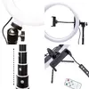 Rio RL12 LED Ring Light 30cm Photo 6