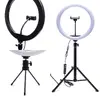Rio RL12 LED Ring Light 30cm Photo 7
