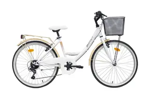 BOTTARI Parma pilsētas velosipēds, 24 collu riteņi