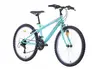 Горный велосипед Bottari MTB Torino 24 дюйма Photo 3