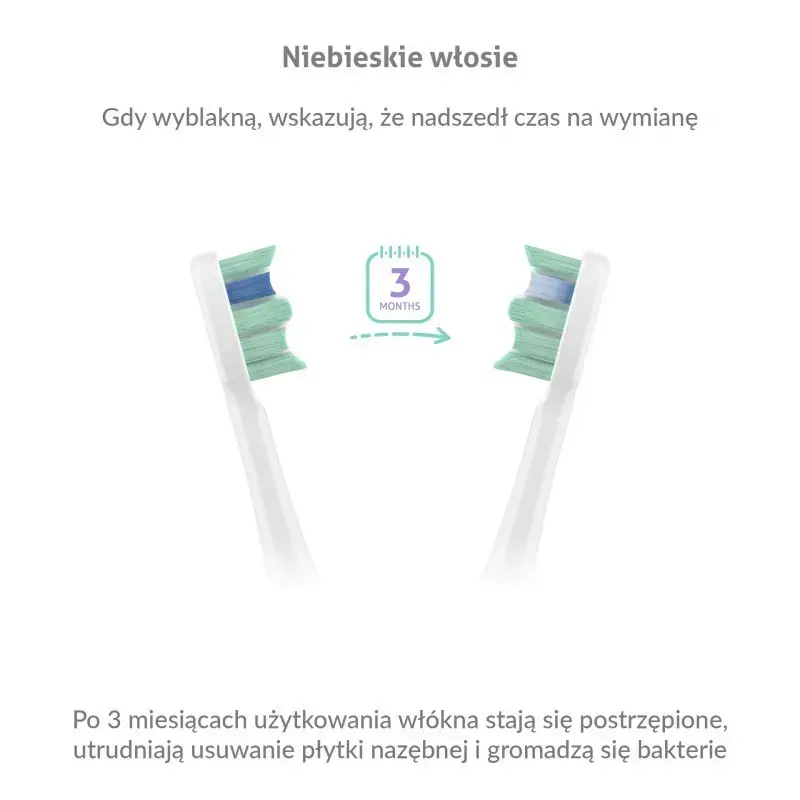 Зубная щетка TrueLife SonicBrush Clean30 Duo Photo 6