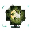 MSI Pro MP245PHGN E14 23.8 collu Full HD IPS monitors Photo 5