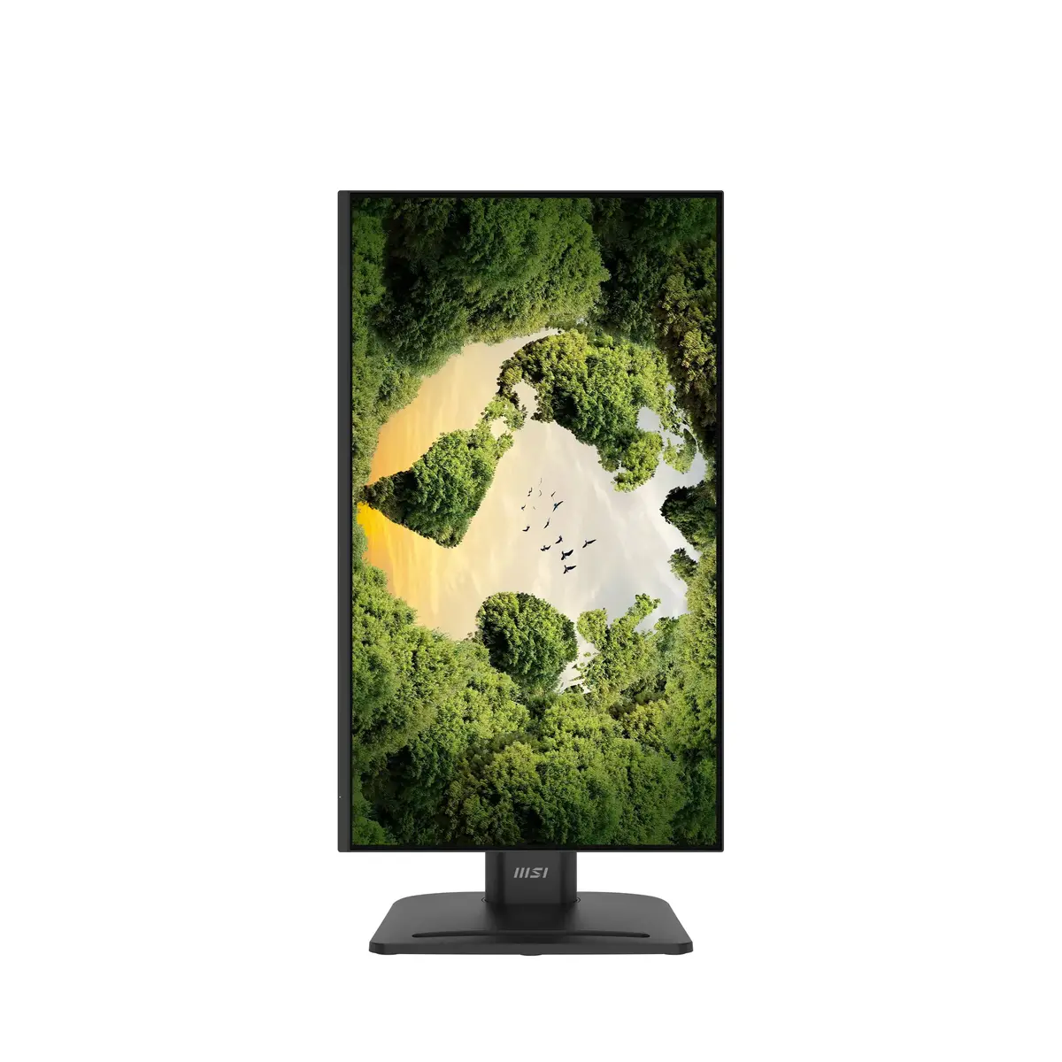 MSI Pro MP245PHGN E14 monitors Photo 4