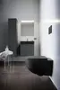 Подвесной унитаз Laufen Pro 53 см черный Photo 2