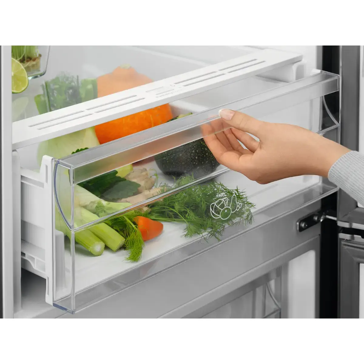 Холодильник с морозильником Electrolux LNT5ME32U1 Photo 6
