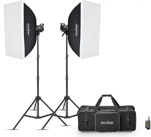 Godox studio flash MS300V F Dual