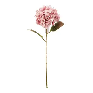 Artificial Flower NENURODYTA_V PL8000200 76 cm 3 Designs