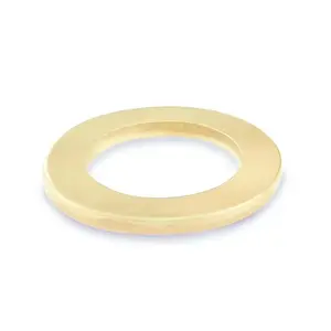 WASHERS 10X16X2 BRASS PLAT(DOORS)/18PCS