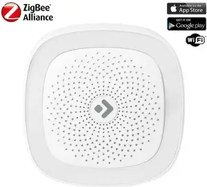 Ferguson Ferguson Smart Hub - Centrala Sterująca Systemu Ferguson Smart Home Zigbee (ios/android)