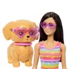 Mattel Barbie Pets Skate and Run Brunette Doll Photo 3