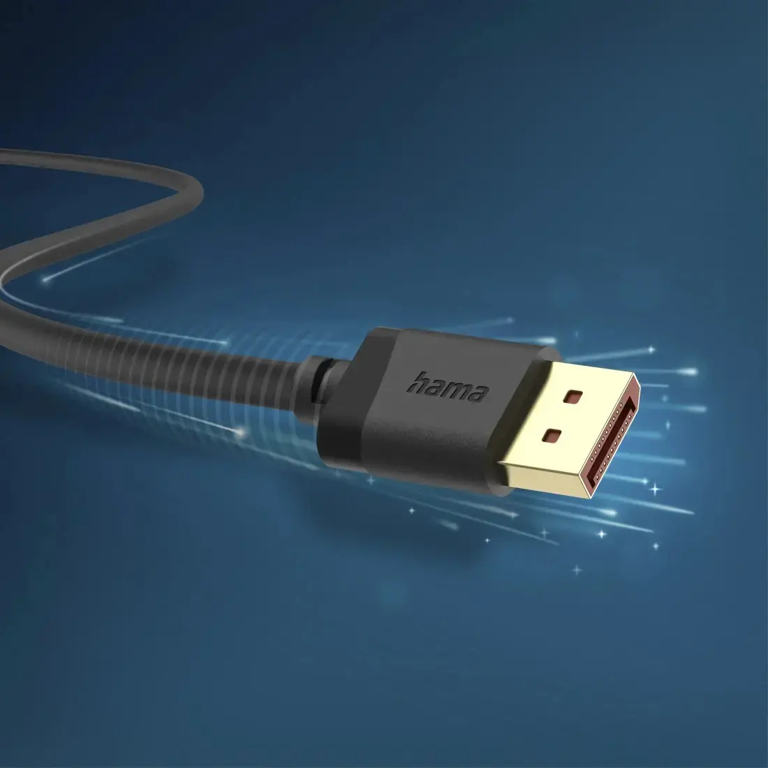 Hama 00202010 DisplayPort cable 00202010 Photo 4