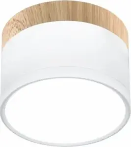 Потолочный светильник Candellux Tuba