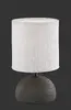 TRIO Luci table lamp R50351026 Photo 2