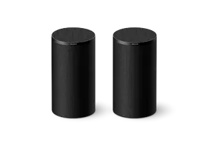 Sony BRAVIA Theatre Rear 9 Wireless Rear Speakers, 180W, Black