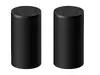 Sony BRAVIA Theatre Rear 9 Wireless Speakers Photo 9