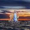 Davidoff Cool Water Reborn 3616303470043 Photo 5