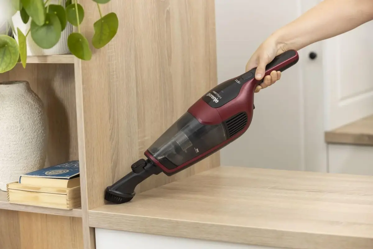 Gorenje SVC216100FSIIR 747573 Photo 16