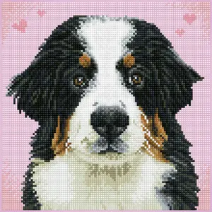 Diamond Dotz Say Hello to Zuzu Diamond Painting Pre-Framed Kit