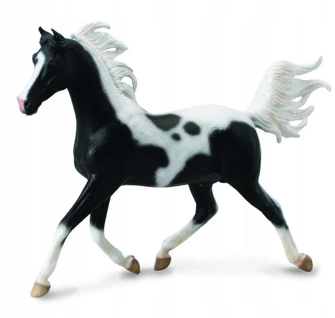 Collecta Pinto arābu šķirnes ērzeļa figūriņa