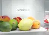 Candy Fresco CNCQ2T618CW Freestanding Refrigerator-Freezer Photo 8