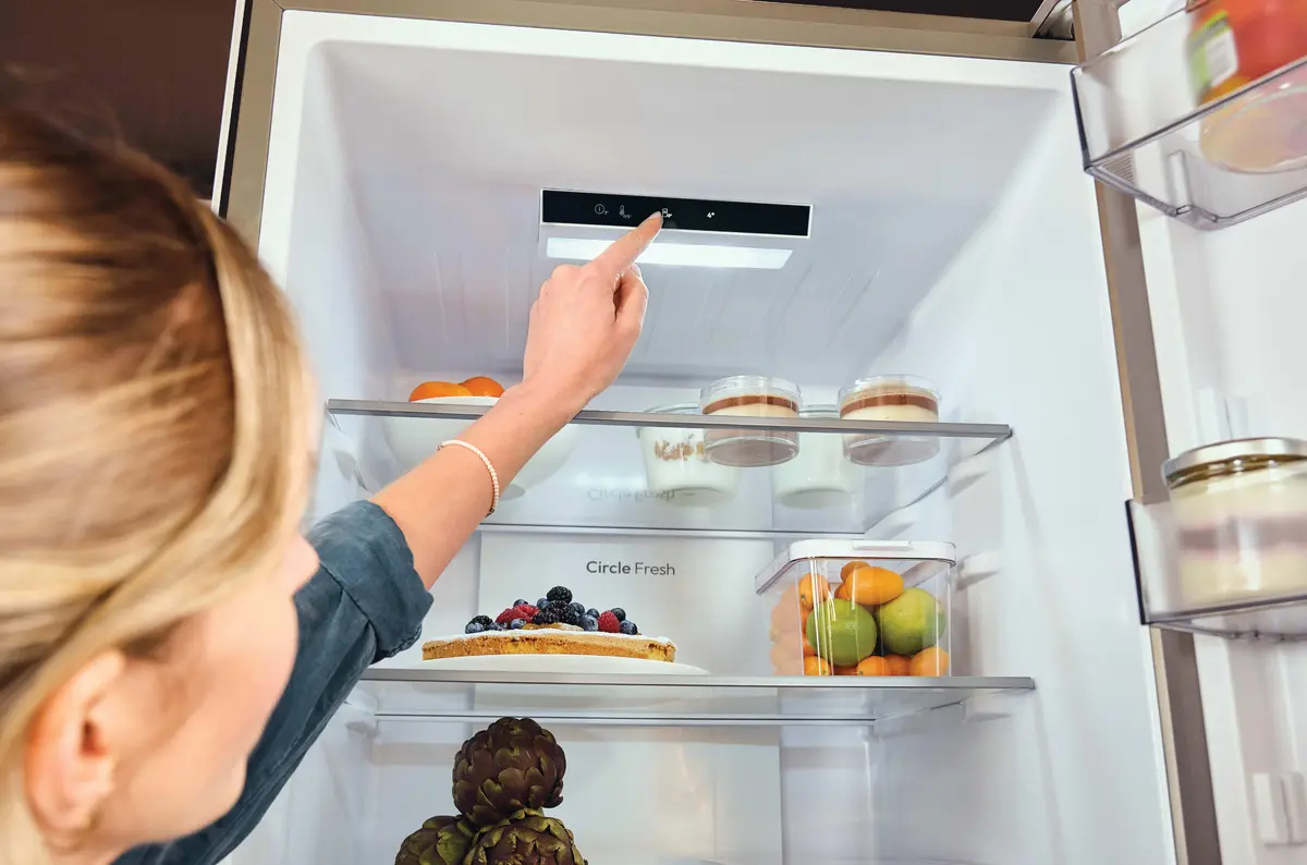 Candy Fresco CNCQ2T618CW Freestanding Refrigerator-Freezer Photo 15