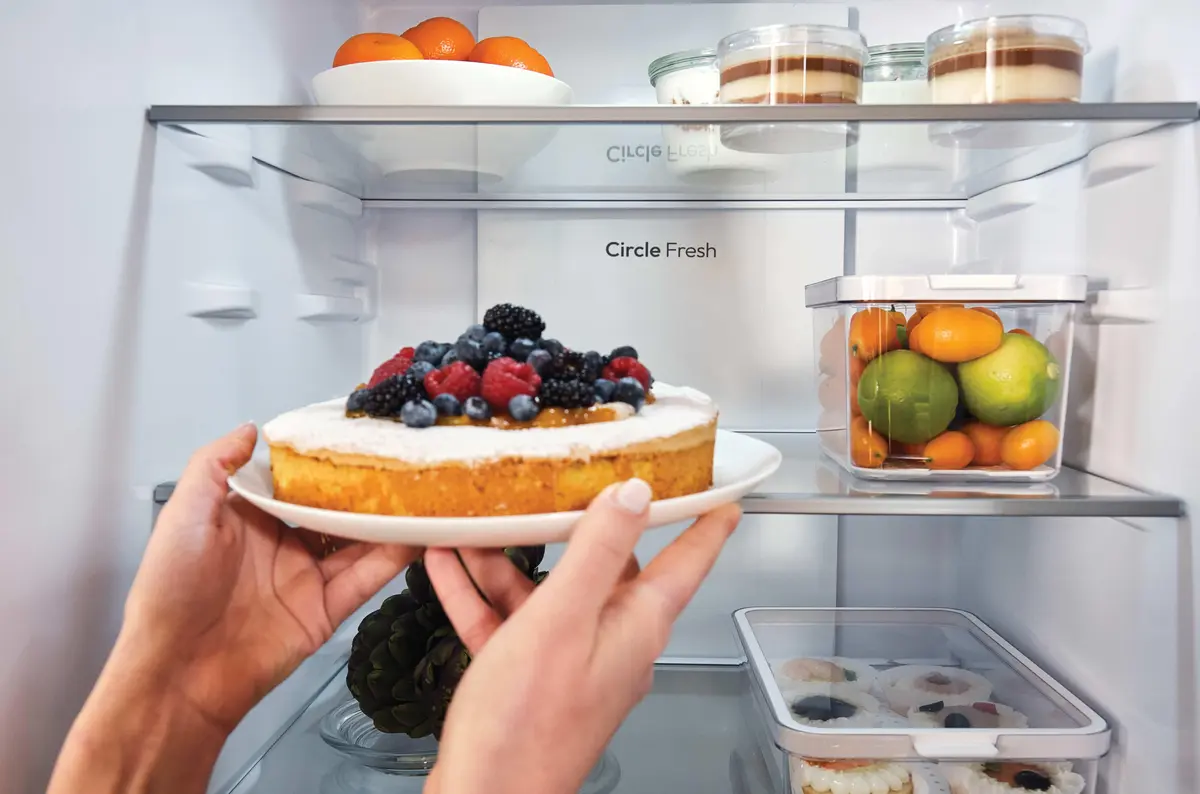 Candy Fresco CNCQ2T618CW Freestanding Refrigerator-Freezer Photo 16
