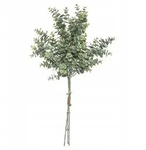 kwiatydonice EUCALYPTUS BOUQUET H64