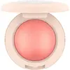 CATRICE Soft Glam Baked blush 954093 Photo 2