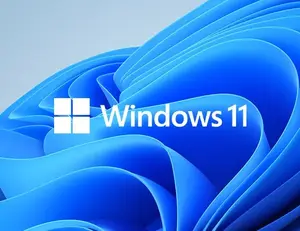 Ready for Windows 11