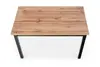 Cobalt Dining Table by NENURODYTA_V Photo 2