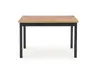 Cobalt Dining Table by NENURODYTA_V Photo 3