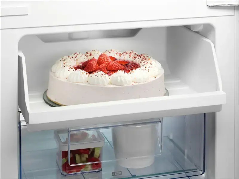 Built-in Refrigerator AEG TC7CS18GES Photo 3