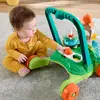 Ходунок-каталка Fisher-Price Moves with You Turtle Photo 2