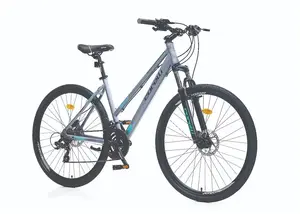 Corelli Hybrid Bicycle, 28-inch Wheels, 21-Speed, Grey