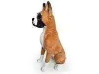 Dubi Pies Bokser 65cm