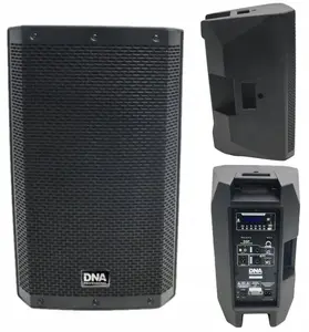 DNA SPX10 DSP Active Speaker 10-inch 250W