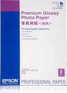 Epson Premium Glossy Photo Paper DIN A2 255g/m2 Photo 2