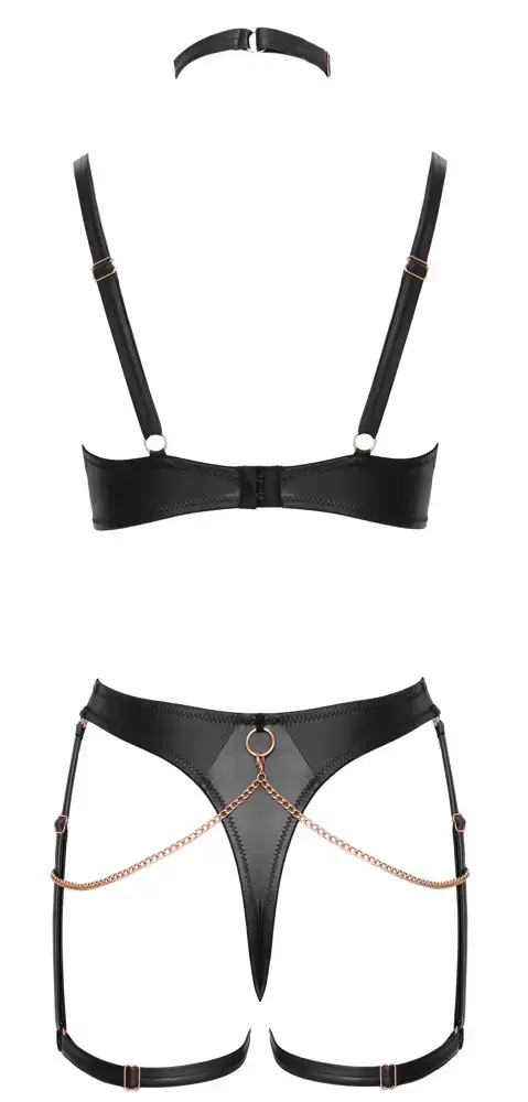 Abierta Fina veļas komplekts Bra Set Net L Photo 9