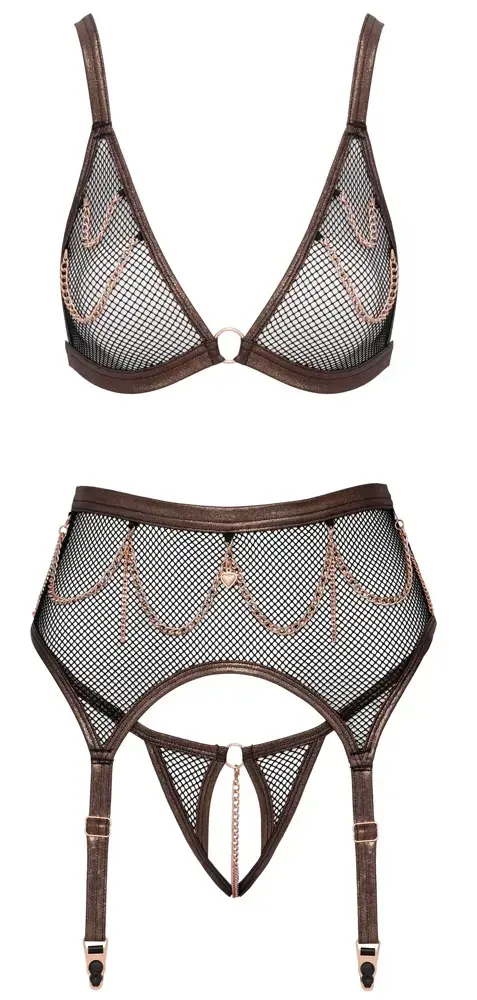 Abierta Fina Net Bra and Suspender Set L Photo 8