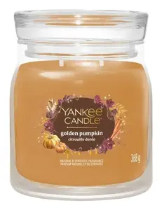 Yankee Candle 2653161E wax candle Round Pumpkin Orange, Transparent 1 pc(s)