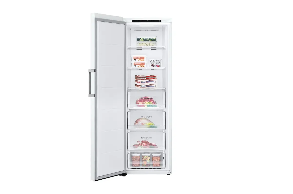 Морозильная камера LG GFT41SWGSF 324 л Photo 2