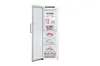 Морозильная камера LG GFT41SWGSF 324 л Photo 2