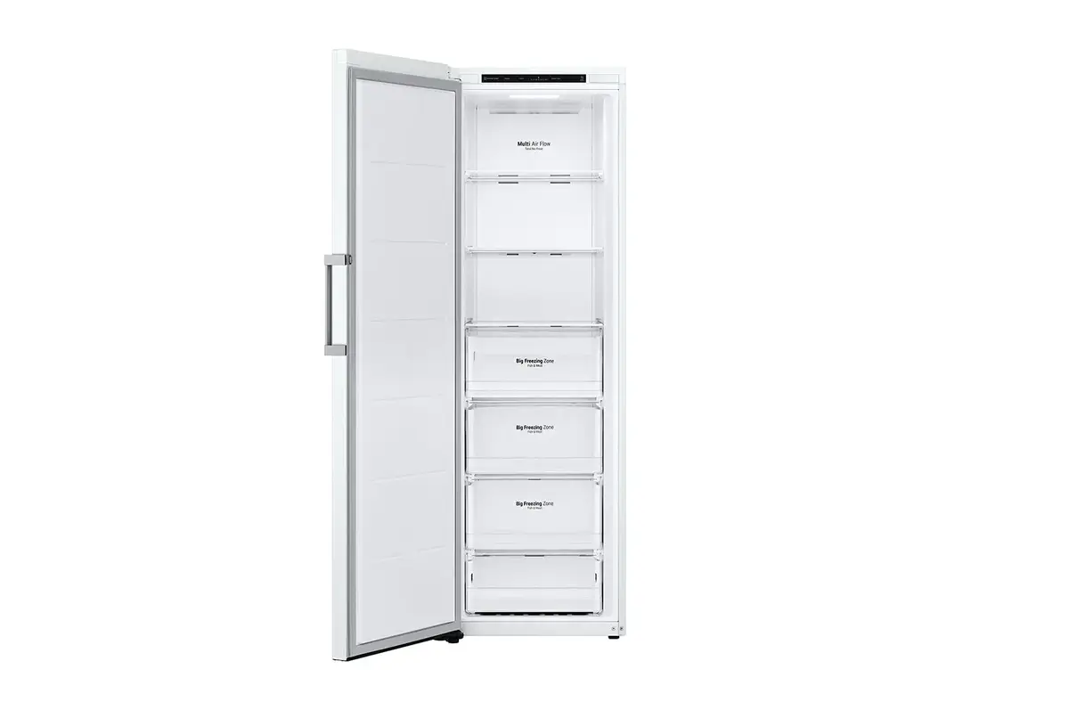 Морозильная камера LG GFT41SWGSF 324 л Photo 3