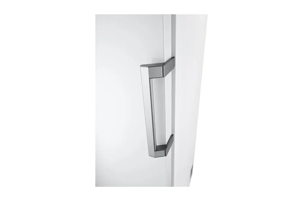 Морозильная камера LG GFT41SWGSF 324 л Photo 4