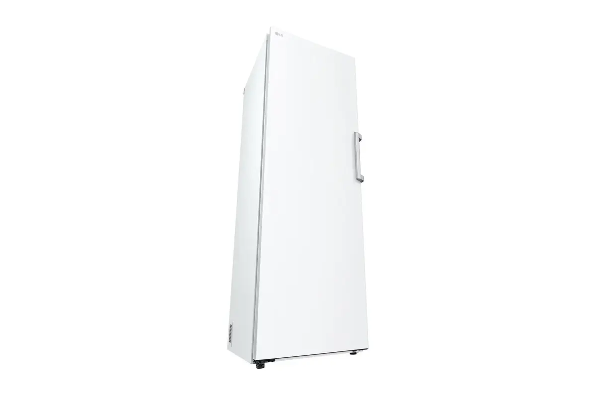 Морозильная камера LG GFT41SWGSF 324 л Photo 5